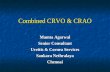 Combined CRVO & CRAO Mamta Agarwal Senior Consultant Uveitis & Cornea Services Sankara Nethralaya Chennai.