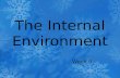 The Internal Environment Week 9. External and Internal Environments The internal environment is the interstitial fluid through which cells exchange substances.