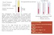 1 Blood Diseases Hematocrit – measure of % RBC –Males: 47% ± 5% –Females: 42% ± 5% Rule of 3's: Hgb should be 3 times the Hematocrit (Hct) (i.e. Hgb of.