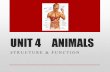UNIT 4 ANIMALS STRUCTURE & FUNCTION. Agenda: Assignment due Lesson HW.