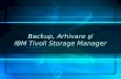 Backup, Arhivare şi IBM Tivoli Storage Manager. Cuprins I. Cuprins Introducere 1.1 - Backup şi Arhivare, Noţiuni de bază 1.2 - Arhivarea si presiunile.
