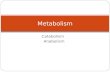 Metabolism Catabolism Anabolism.