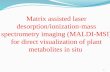 1 Matrix assisted laser desorption/ionization-mass spectrometry imaging (MALDI-MSI) for direct visualization of plant metabolites in situ.