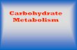 Carbohydrate Metabolism. I. Introduction: A.More than 60% of our foods are carbohydrates. Starch, glycogen, sucrose, lactose and cellulose are the chief.