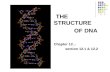 THE STRUCTURE OF DNA Chapter 12… section 12.1 & 12.2.