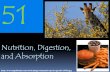 Nutrition, Digestion, and Absorption  51.