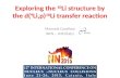 Exploring the 10 Li structure by the d( 9 Li,p) 10 Li transfer reaction Manuela Cavallaro INFN – LNS (Italy)