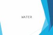 WATER. Water is the solvent of Life! Solute – substance dissolved in a solvent to form a solution Solvent – fluid that dissolves solutes.