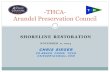 SHORELINE RESTORATION NOVEMBER 9, 2015 CHRIS SIEGER CO-BEACH CHAIR, THCA -THCA- Arundel Preservation Council.