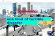 Earthquakes one kind of terrible disaster 灾难. Do you know what would happen before an earthquake? 地 震.