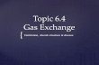 { Topic 6.4 Gas Exchange Ventilation, alveoli structure & disease.