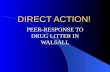 DIRECT ACTION! PEER-RESPONSE TO DRUG LITTER IN WALSALL.