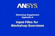 Input Files for Workshop Exercises Workshop Supplement Appendix A.