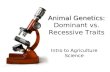 Animal Genetics: Animal Genetics: Dominant vs. Recessive Traits Intro to Agriculture Science.