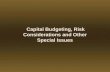 Capital Budgeting, Risk Considerations and Other Special Issues Capital Budgeting, Risk Considerations and Other Special Issues.