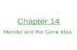 Chapter 14 Mendel and the Gene Idea. Mendelian genetics Gregor Mendel – father of genetics Austrian monk pioneer in the field gardener at monastery.