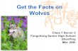 Get the Facts on Wolves Class 7 Senior 2 Fengcheng Senior High School ShenPing Mar. 28th.