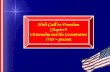 Holt Call to Freedom Chapter 9 Citizenship and the Constitution 1787 – present.