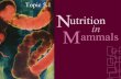 N Topic 5.1 ammals in utrition M. Feeding/Ingestion Intake of food & processes that convert food substances into living matter Digestion Absorption Egestion.