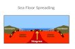 Sea Floor Spreading.  rMagnet.swf.