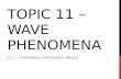 TOPIC 11 – WAVE PHENOMENA 11.1 – STANDING/ STATIONARY WAVES.