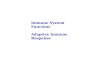 Immune System Function: Adaptive Immune Response.