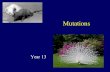 Mutations Year 13. Mutations A mutation is a permanent genetic mistake in a gene or a chromosome. Mutations can occur spontaneously or be induced. Spontaneous.