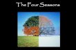 The Four Seasons. The Earth’s axis is tilted to 23.5 degrees.