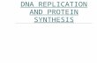 DNA REPLICATION AND PROTEIN SYNTHESIS. The DNA double helix unwinds and unzips, using an enzyme, to make two individual strands of DNA.