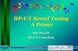 Page 1 Kernel Tuning Introduction HP-UX Kernel Tuning A Primer Bill Hassell HP-UX Consultant.