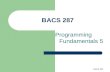 BACS 287 Programming Fundamentals 5. BACS 287 Programming Fundamentals This lecture introduces the following topics: – Procedures Built-in Functions User-defined.
