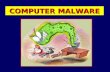 COMPUTER MALWARE. Malware is a general term for any type of unwanted software that does mischief or permanent damage to your computer. Malware is created.