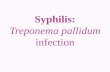 Syphilis: Treponema pallidum infection