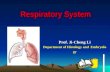 Respiratory System Prof. Ji-Cheng Li Department of Histology and Embryology.