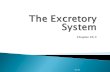 The Excretory System Chapter 36.3 Bio 392.  Excretion  the process of eliminating waste products of metabolism and other non-useful materials.  The.