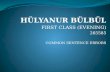 HLYANUR BLBL FIRST CLASS (EVENING) 265585 COMMON SENTENCE ERRORS.