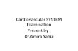 Cardiovascular SYSTEM Examination Present by : Dr.Amira Yahia.