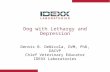 Dog with Lethargy and Depression Dennis B. DeNicola, DVM, PhD, DACVP Chief Veterinary Educator IDEXX Laboratories.