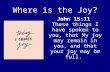 Where is the Joy? John 15:11 These things I have spoken to you, that My joy may remain in you, and that your joy may be full.