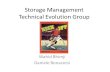 Storage Management Technical Evolution Group Wahid Bhimji Daniele Bonacorsi.