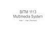 BITM 1113 Multimedia System Week 7  Video (Revamped)