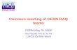 Common meeting of CERN DAQ teams CERN May 3 rd 2006 Niko Neufeld PH/LBC for the LHCb Online team.