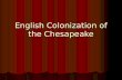 English Colonization of the Chesapeake. Jamestown Colony (1607) Virginia Company of London - 104 gentlemen adventurers  poor servants Virginia Company.