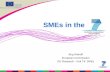 Jrg Niehoff European Commission DG Research - Unit T4: SMEs SMEs in the.