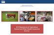 APHIS READINESS UPDATE Automated Commercial Environment US Department of Agriculture Animal and Plant Health Inspection Service.