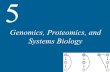 Genomics, Proteomics, and Systems Biology 5. 5 Genomics, Proteomics, and Systems Biology Genomes and Transcriptomes Proteomics Systems Biology.