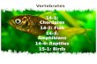 Vertebrates 14-1: Chordates 14-2: Fish 14-3: Amphibians 14-4: Reptiles 15-1: Birds 15-2: Mammals.