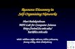 Resource Discovery in Self-Organizing Networks Hari Balakrishnan MIT Lab for Computer Science  With: William Adjie-Winoto,