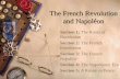 The French Revolution and Napolon Section 1: The Roots of Revolution Section 2: The French Revolution Section 3: The French Republic Section 4: The Napolonic.
