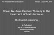 Boron Neutron Capture Therapy in the treatment of brain tumours - The Swedish experience - L. Pellettieri Md. Ph. D. Professor emeritus Gothenburg University.